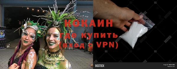 ГАЛЛЮЦИНОГЕННЫЕ ГРИБЫ Арсеньев