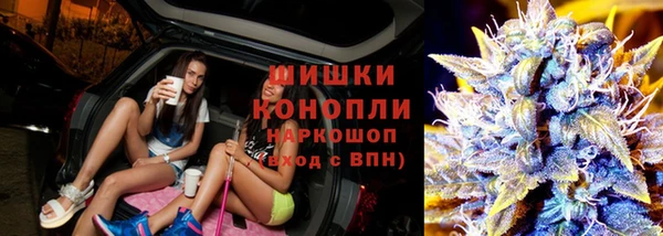 ГАЛЛЮЦИНОГЕННЫЕ ГРИБЫ Арсеньев