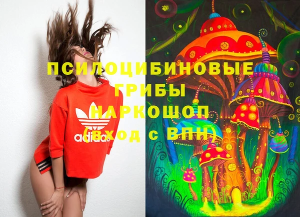 ГАЛЛЮЦИНОГЕННЫЕ ГРИБЫ Арсеньев