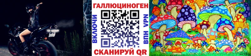 дарнет шоп  Нефтекумск  Галлюциногенные грибы GOLDEN TEACHER 